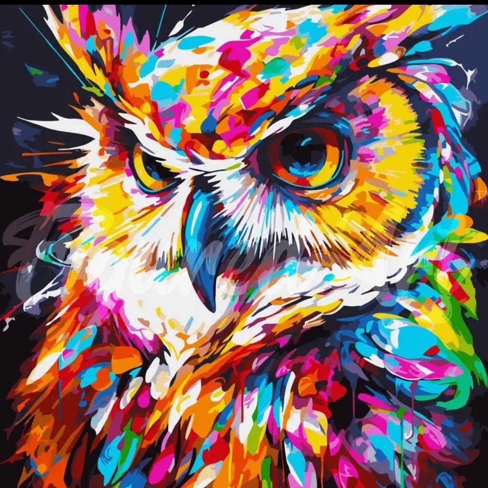 Figured Art Paint by Numbers Kit Colorful Owl 16x20 Canvas Acrylic